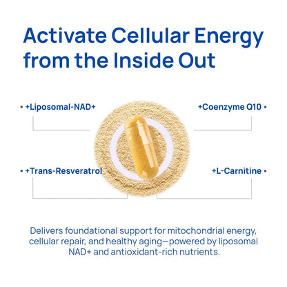 Veloir NAD+ Supplement for Men