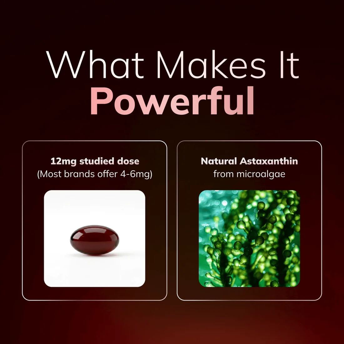 Astaxanthin 12 mg Softgels – Natural Antioxidant Support for Skin, Heart & Energy